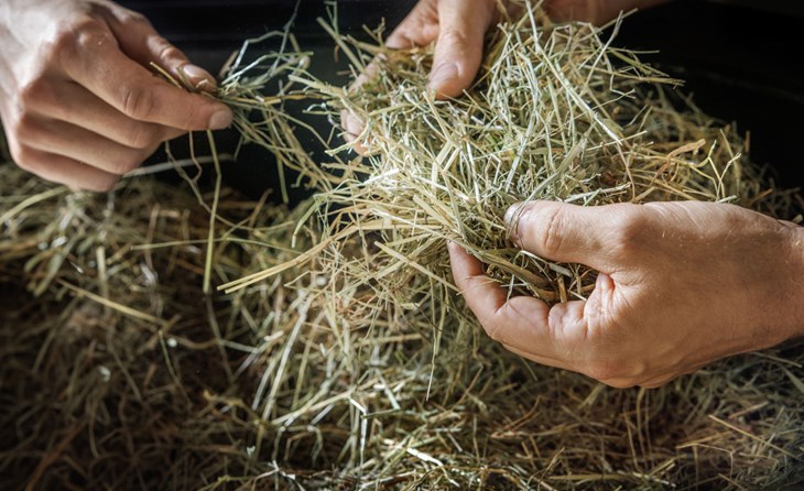 Eva Pohl, lektor i miljöteknik vid Linnéuniversitetet har gjort en jämförelse mellan olika begravningsmetoder som visar att återjordning enligt tysk modell är miljövänligast.